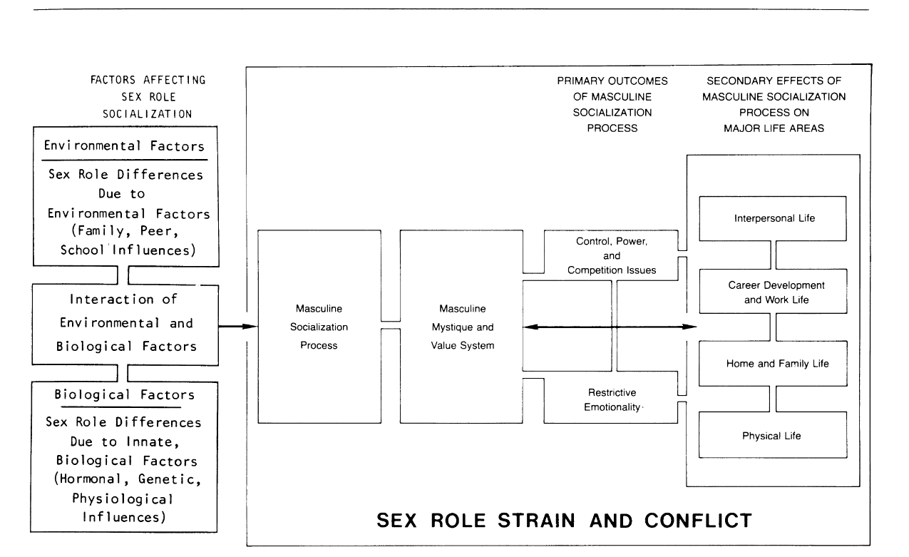 Figure 1 depicts the common themes found in the men’s literature and areas of sex-role strain and conflicts that emerge from the male socialization process.